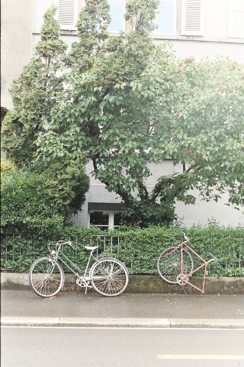Gallery item